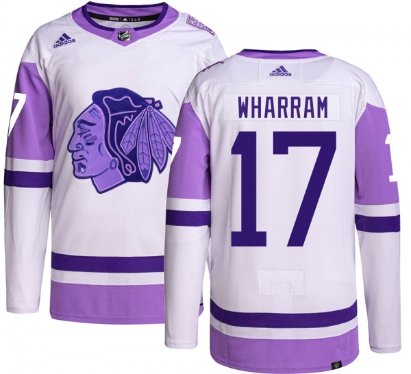 Men's Adidas White/Purple Chicago Blackhawks Hockey Fights Cancer Primegreen Authentic Custom Jersey